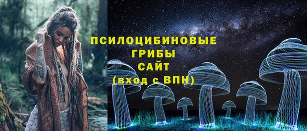винт Баксан