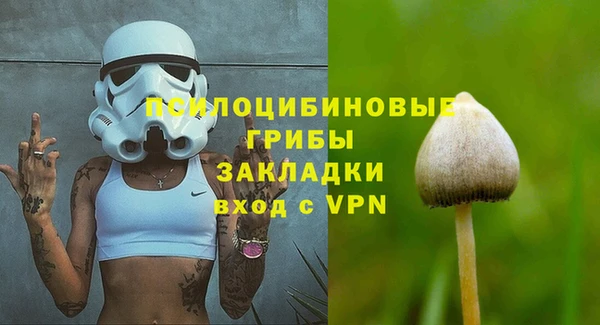 винт Баксан