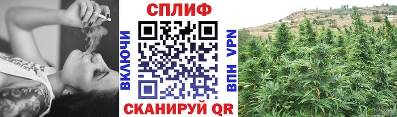 Бошки Шишки конопля  Верхнеуральск 